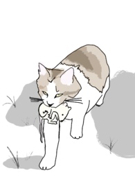 枯木逢春